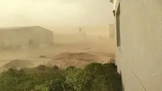 বালির জড়
