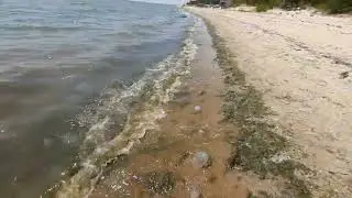 Азовское море.Урзуф.Прогулка по пляжу,реальные номера телефонов на жилье,9 августа 2024 г.