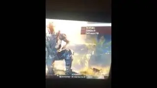 No show