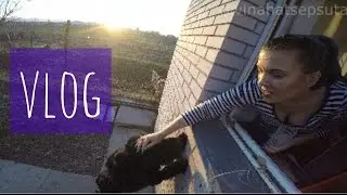 VLOG: FAMILY SUNDAY DAJ BOŽE DAJ SITNU ROSUUUU IIII!!!!!!