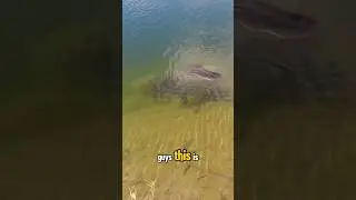 OMG What Did He Catch?