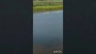 хэерле иртэ,имин коннэр дусларым!