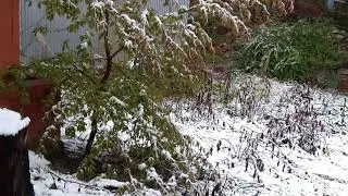 गंगौत्री,,Barf girti he,,,2018..8..18...ko