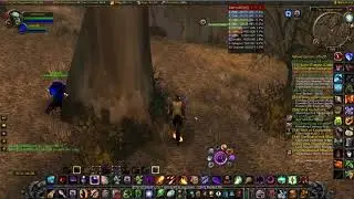 Wow Classic 81