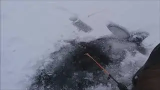 Влияние погоды на рыбалку.