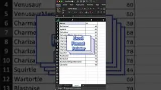 Excel Format Painter