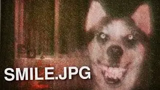 Smile Dog