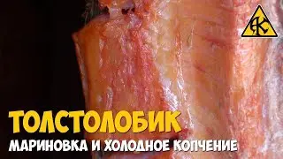 Smoking silver carp, marinating and cold smoking