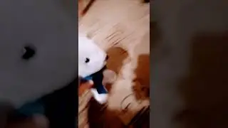 типичная поездка на Мальдивы