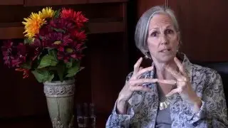 Overview of the Brain (11/60)