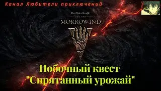 TES Online: Morrowind. Побочный квест 