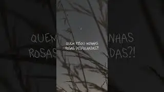 FLORBELA ESPANCA, mendiga