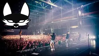 Beginner LIVE 2017 (Tourtrailer)