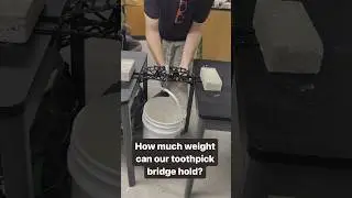 We built a toothpick bridge for my material science class 