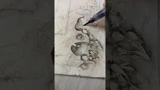 карта сокровищ
