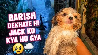 Barish Dekhte Hi Jack Ko Kya Ho Gya 🤭 | Jennykimasti 😊 