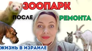 Большой ЗООПАРК в маленьком израильском городе. Зоопарк в Беэр-Шеве
