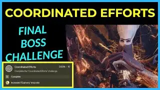 Coordinated Efforts - Witness MASTER Challenge - Salvation's Edge Raid