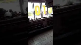 Гнилой поддон Ниссан zd30