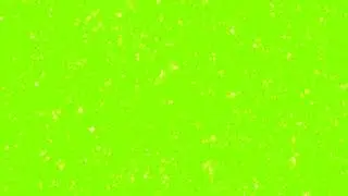 Sparkle Green Screen #4
