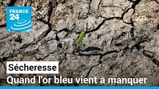Etat des lieux de la sécheresse dans le monde • FRANCE 24