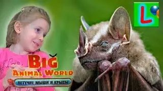 BIG ANIMAL WORLD ЛЕТУЧИЕ МЫШИ ЛИСТОНОС СТРОИТЕЛЬ  игрушки как ДЕАГОСТИНИ DEAGOSTINI распаковка