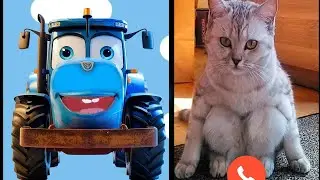 СИНИЙ ТРАКТОР И МЕМНЫЕ КОТИКИ ВИДЕО ДЛЯ ДЕТЕЙ