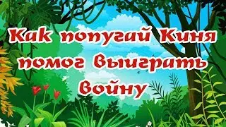 КАК ПОПУГАЙ КИНЯ ПОМОГ ВЫИГРАТЬ ВОЙНУ? | Сказки для Левы |