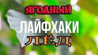 ИСПЫТАНИЕ ЛАЙФХАКОВ - Арбузное мороженное своими руками