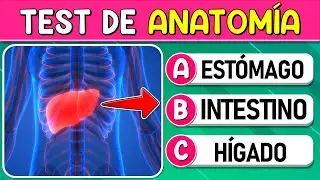 ¿Cuánto Sabes de 