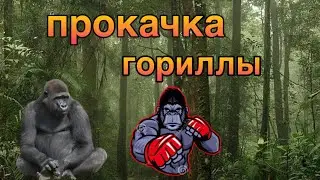 прокачиваю, и играю за гориллу