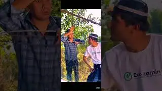 танловда адашманг