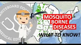 Mosquito-Borne Disease (West Nile Zika, Dengue, More) - Identify, Prevent, Stay Safe | Public Health