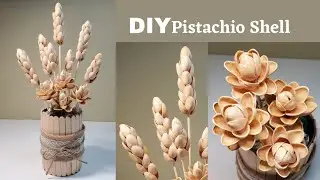 DIY Home Decor Pistacious Shell Flower