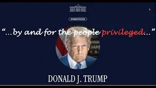 A Letter to the Executive: Petitioning President Trump to Ban Elon Musk from DOGE & Government Work