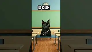 Английский язык... #котики #рекомендации #милота #актив