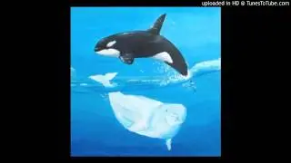Don’t Break My Freshwater