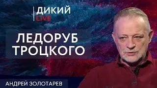 Пустота в головах. Андрей Золотарев. Дикий LIVE.