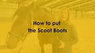 How to put the Scoot Boots