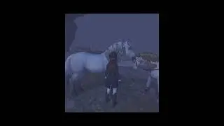 Как получить лошадь БЕСПЛАТНО в Star Stable