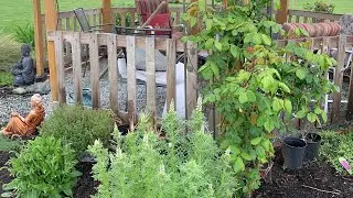 Our garden in May!