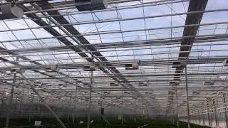 Система увлажнения, ТОО Тепличные Технологии Казахстана