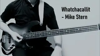 Whatchacallit - Mike Stern (pick Bass cover)
