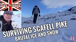 Scafell Pike Attempt In Brutal Ice And Snow with Maltese Dog
