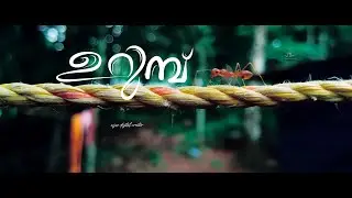 4K All the things in our nature are extraordinary |എത്ര ചെറുതാണെങ്കിലും അതിന് അതിന്റേതായ ഭംഗി ഉണ്ട്