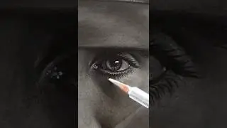 Eye detailing up-close! 