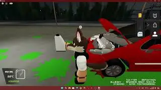 I went to Argentina to fix a car engine.