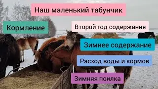 Табун в -45°С