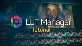 How to Preview LUTs | 2022 LUT Manager (.cube)