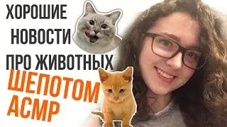 [ASMR] Читаю хорошие новости про животных 😺🙉🐻 ШЕПОТОМ